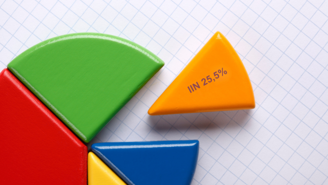 Sektora diagramma, ar izceltu vienu daļu. Uz tās rakstīts IIN 25,5%.